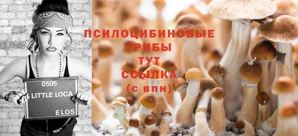 прущая мука Абаза