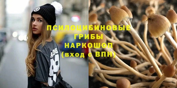 прущая мука Абаза