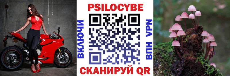 где можно купить наркотик  Саранск  Галлюциногенные грибы мухоморы 